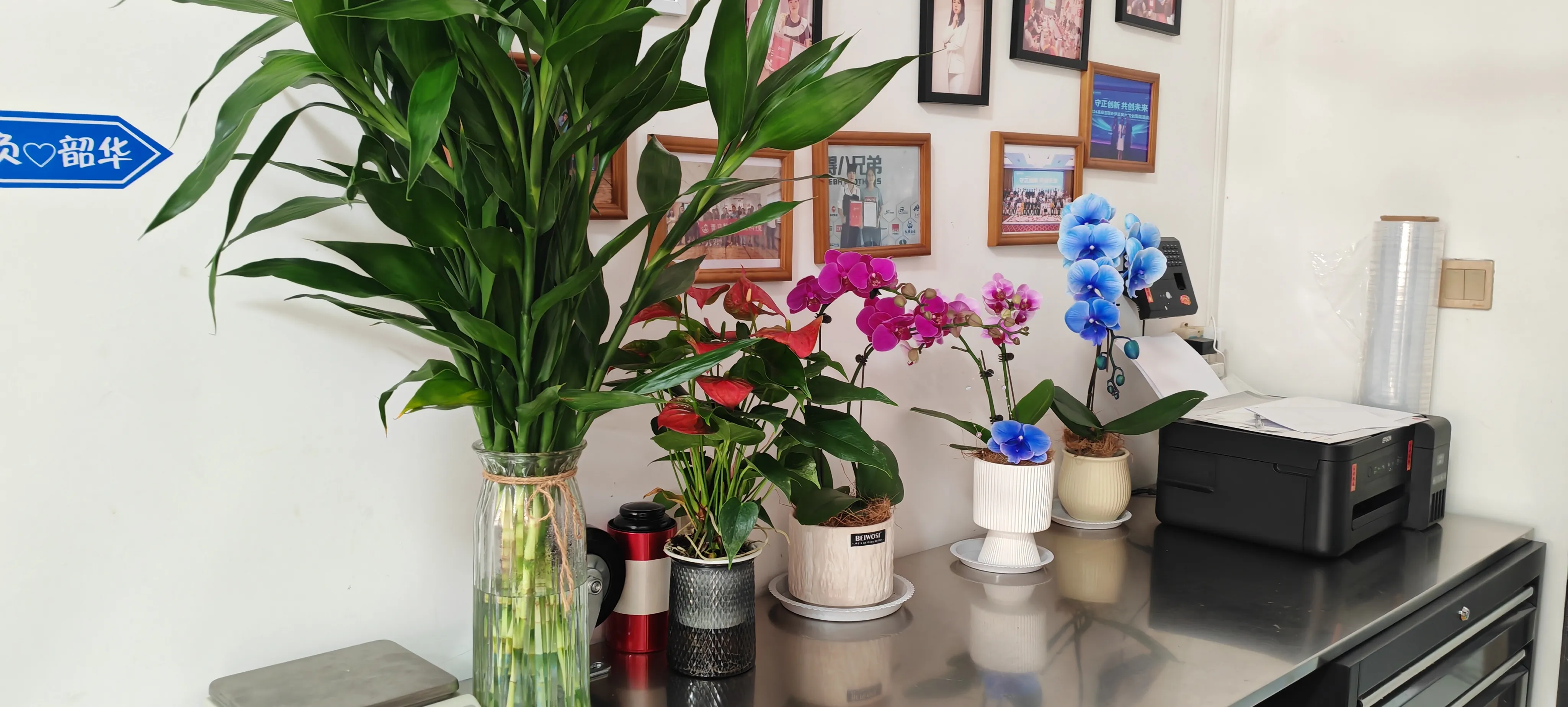 ຍິນດີຕ້ອນຮັບຫມູ່ເພື່ອນໃຫມ່ຂອງ Jojo Pack!